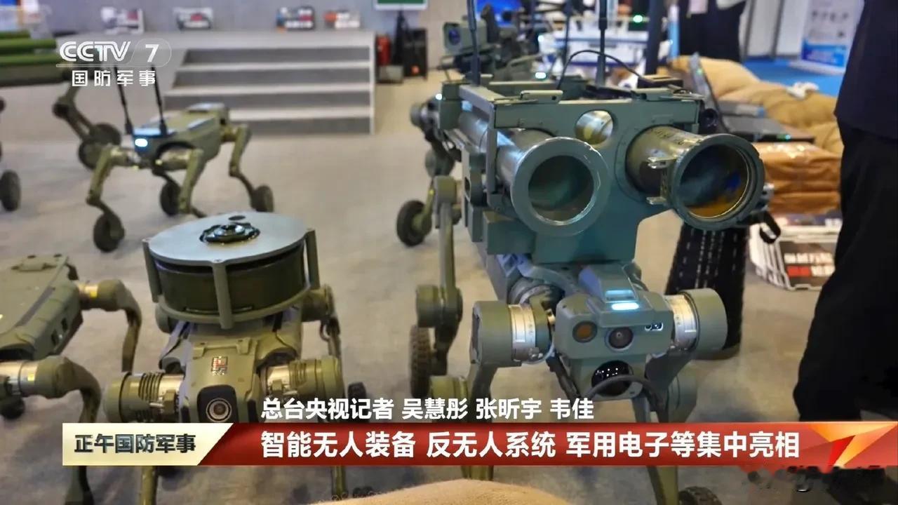 大口径的狗狗也有了，看到这个我放心了。以后收复湾湾，第1波“东风必达”后，第2波