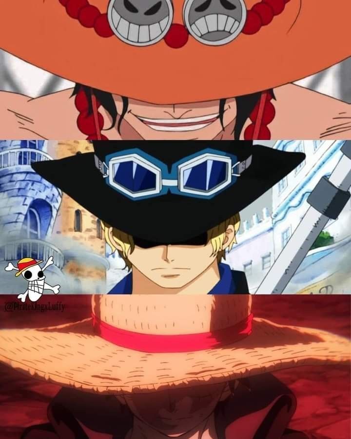 海贼王海贼王帽子三兄弟​​​