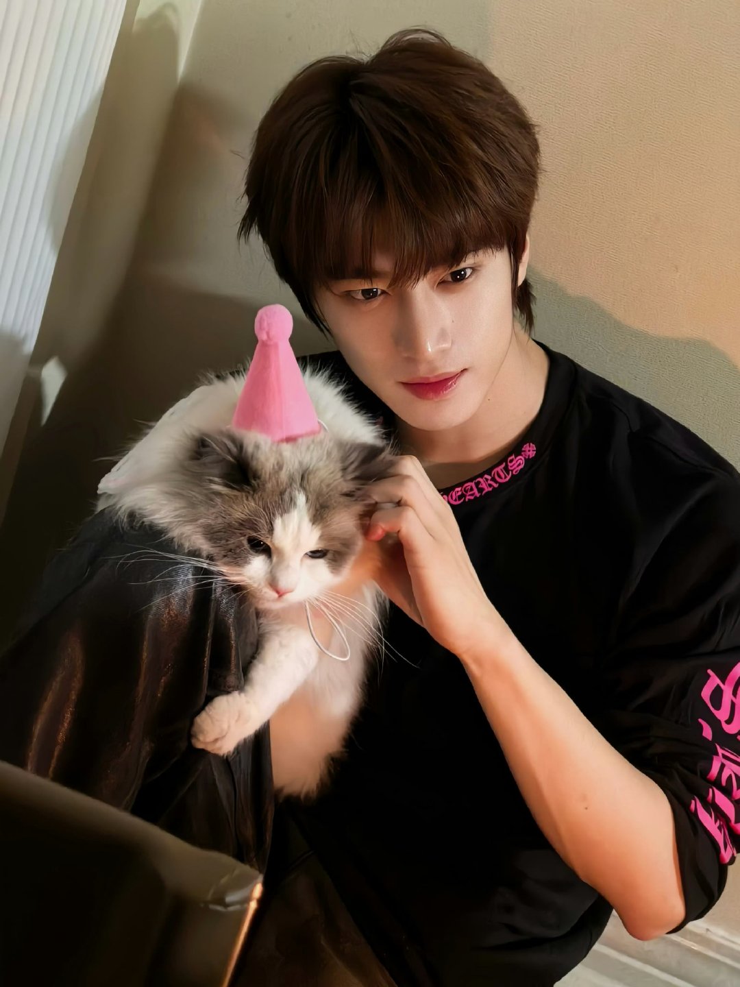 张康乐带猫绝育张康乐小猫的庆生礼物是绝育真的嘛，小猫的庆生礼是绝育哈哈哈