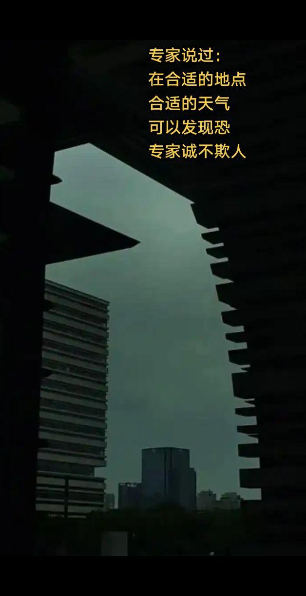 专家说过：在合适的地点合适的天气可以发现恐龙专家诚不欺人