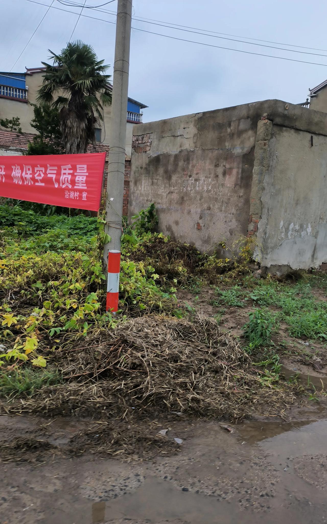 现在，我家81岁的公公最害怕的就是老了会得老年痴呆，因为老公他奶奶就是老年痴呆走