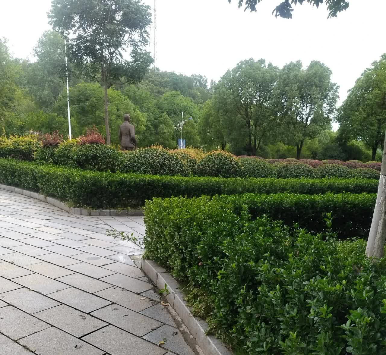 一个电话让我六神无主，不知道该怎么办啦？我是个陪读妈妈，为了小孩上学在外面租房陪