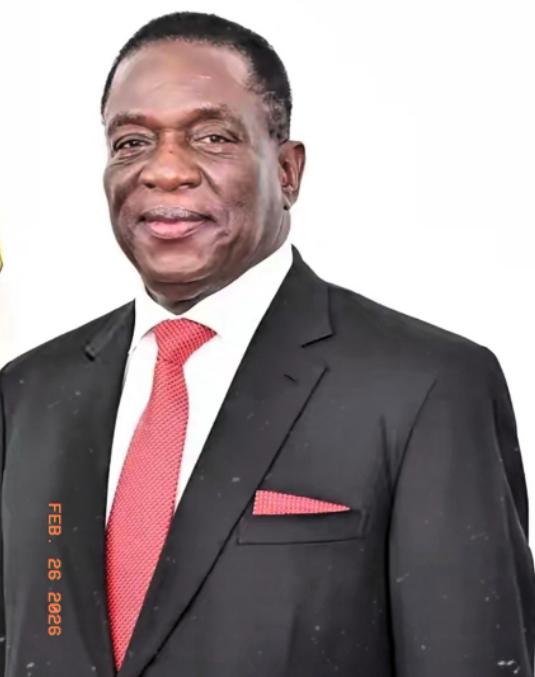 津巴布韦这一纸锂矿出口禁令，直接把国内锂产业链的生死线划死了！没有缓冲，没有过渡