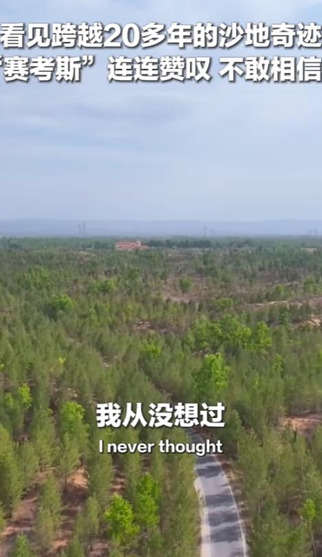 赛考斯他再次被震撼到了，他曾预想过殷玉珍栽种的林木规模，可真正亲眼目睹眼前景象时