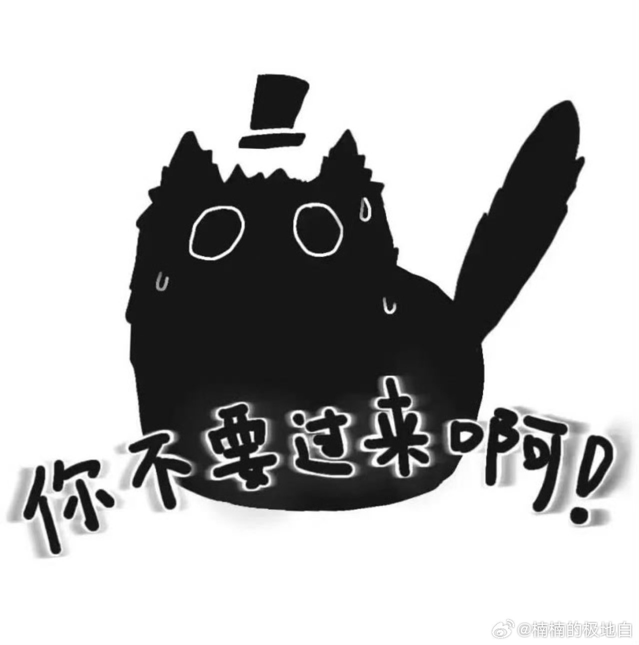 你或许见过这只礼帽小黑猫圆滚滚的身子顶着小礼帽，小黑猫总默默蹲一边，像克莱恩琢磨