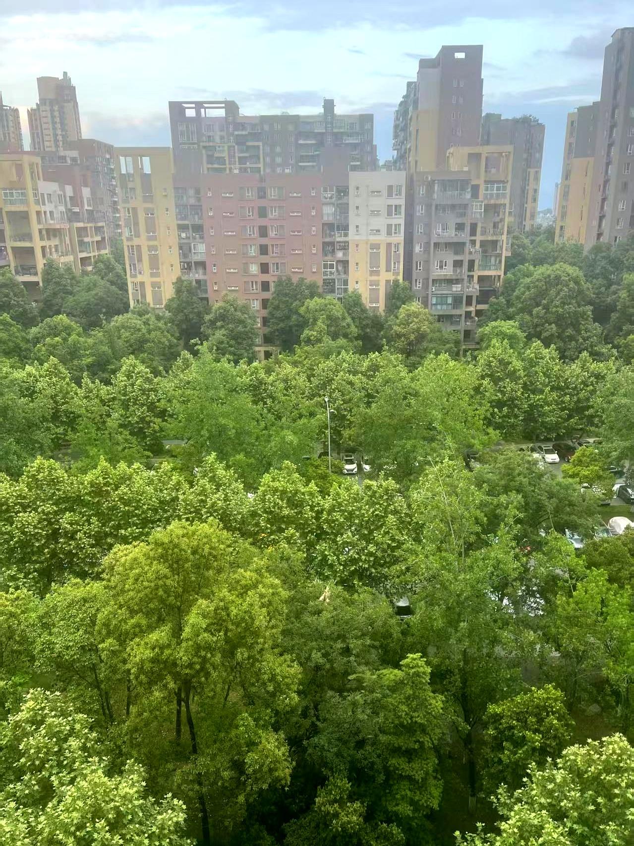 婚礼前一个月，一个电话打过来，闻谭说他腻了。是那种从背后搂着我，下巴还搁在我肩