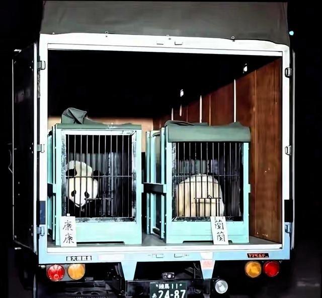 日本民众现在有些后怕了，他们不是怕熊猫送回中国日本进入没有熊猫的时代，而是害怕日