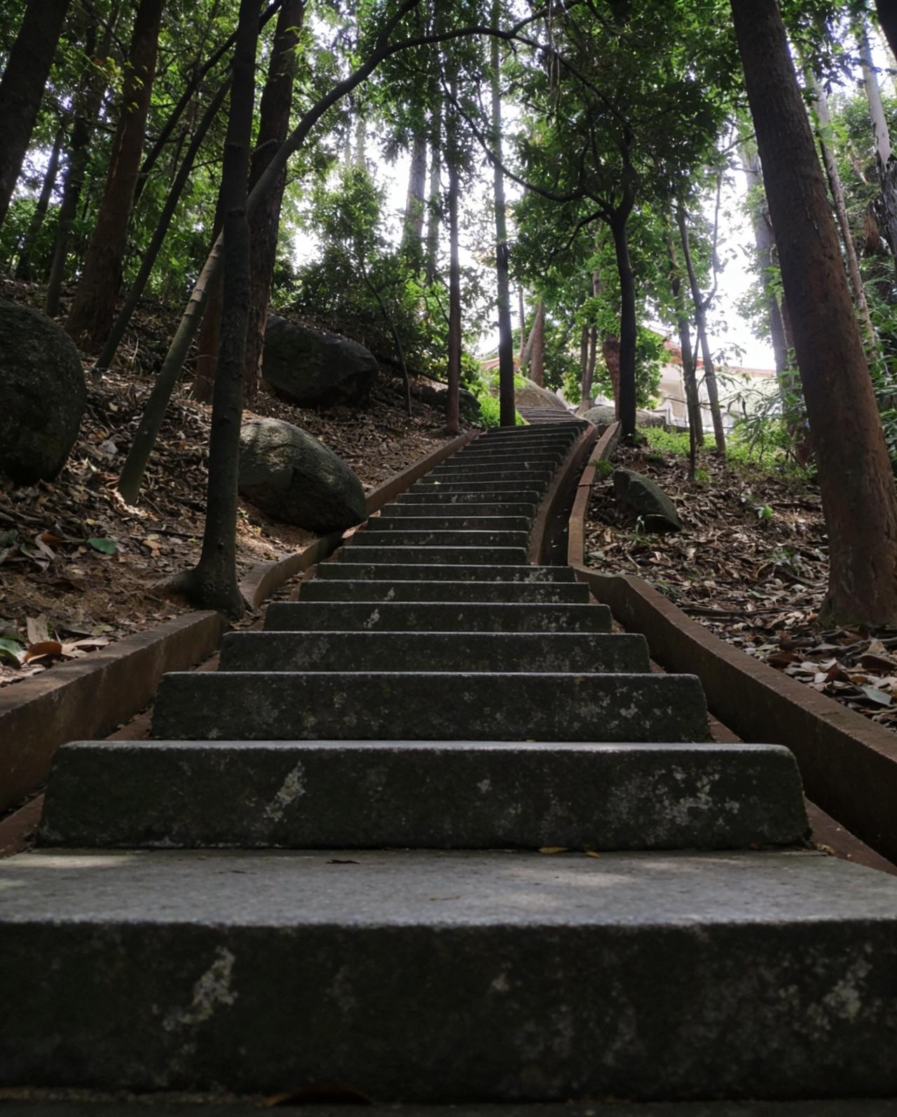 黄埔龙头山！停车场旁石阶小径太出片📍广州龙头山森林公园·停车场-石阶小径