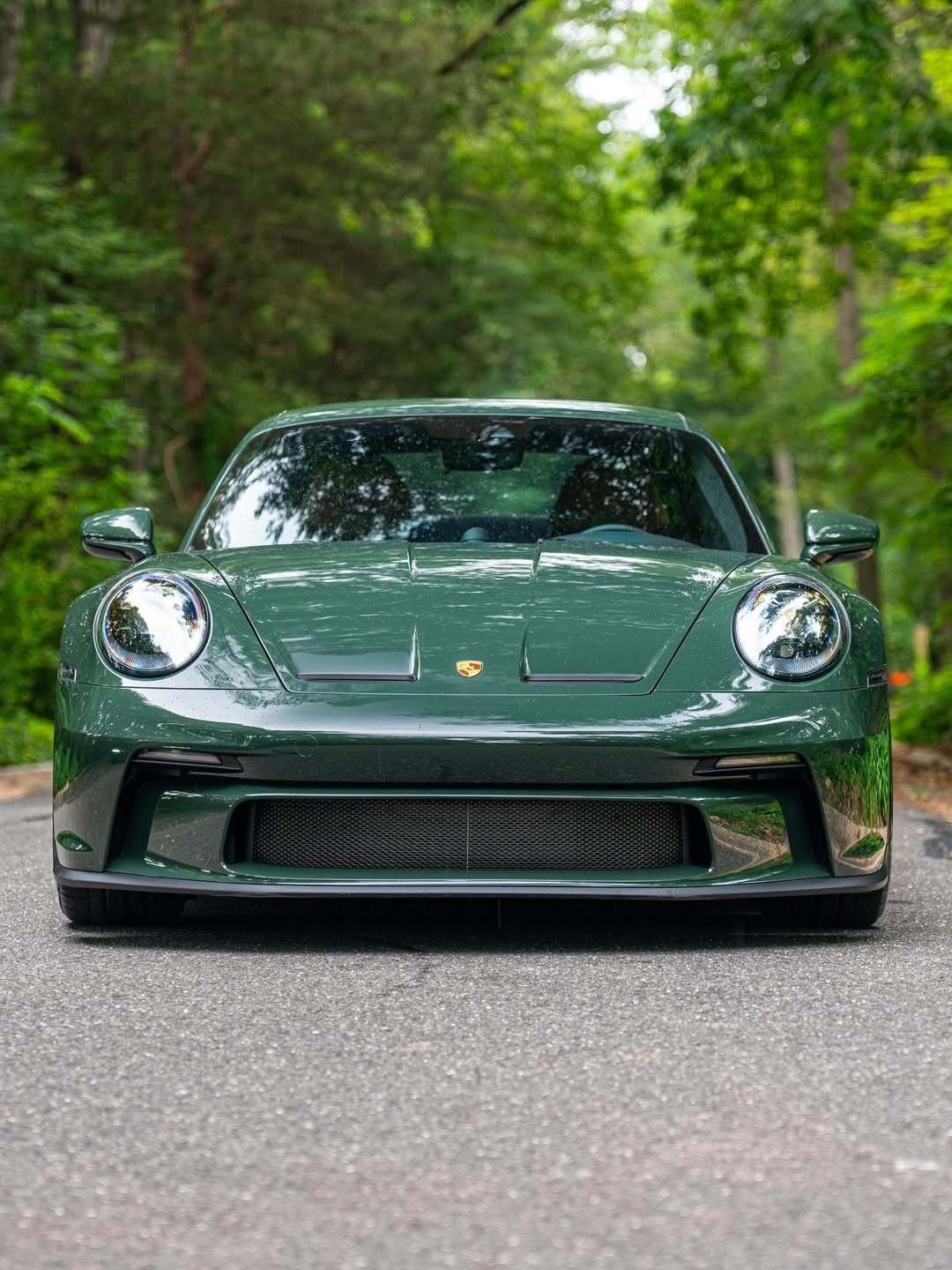 GT3TouringPTS油漆UnderbergGreen​​​