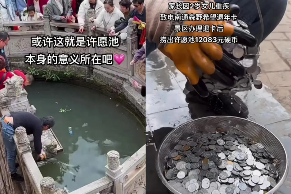 看到有人捐款5万元我没哭，看到有人捐款500万我也没哭，但看到动物园把1万多