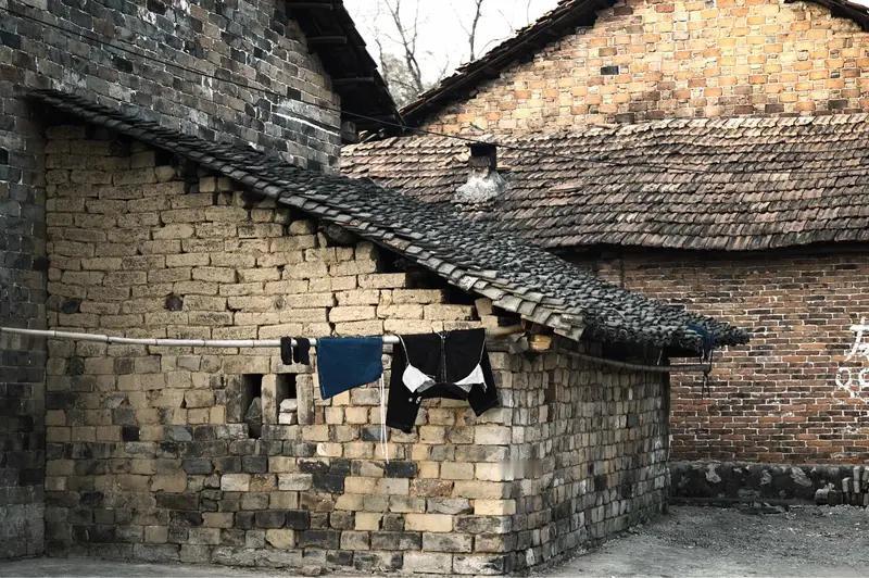 有些孩子长得像姑姑，这背后有基因和环境的双重因素。从遗传角度看，孩子和姑姑共享部