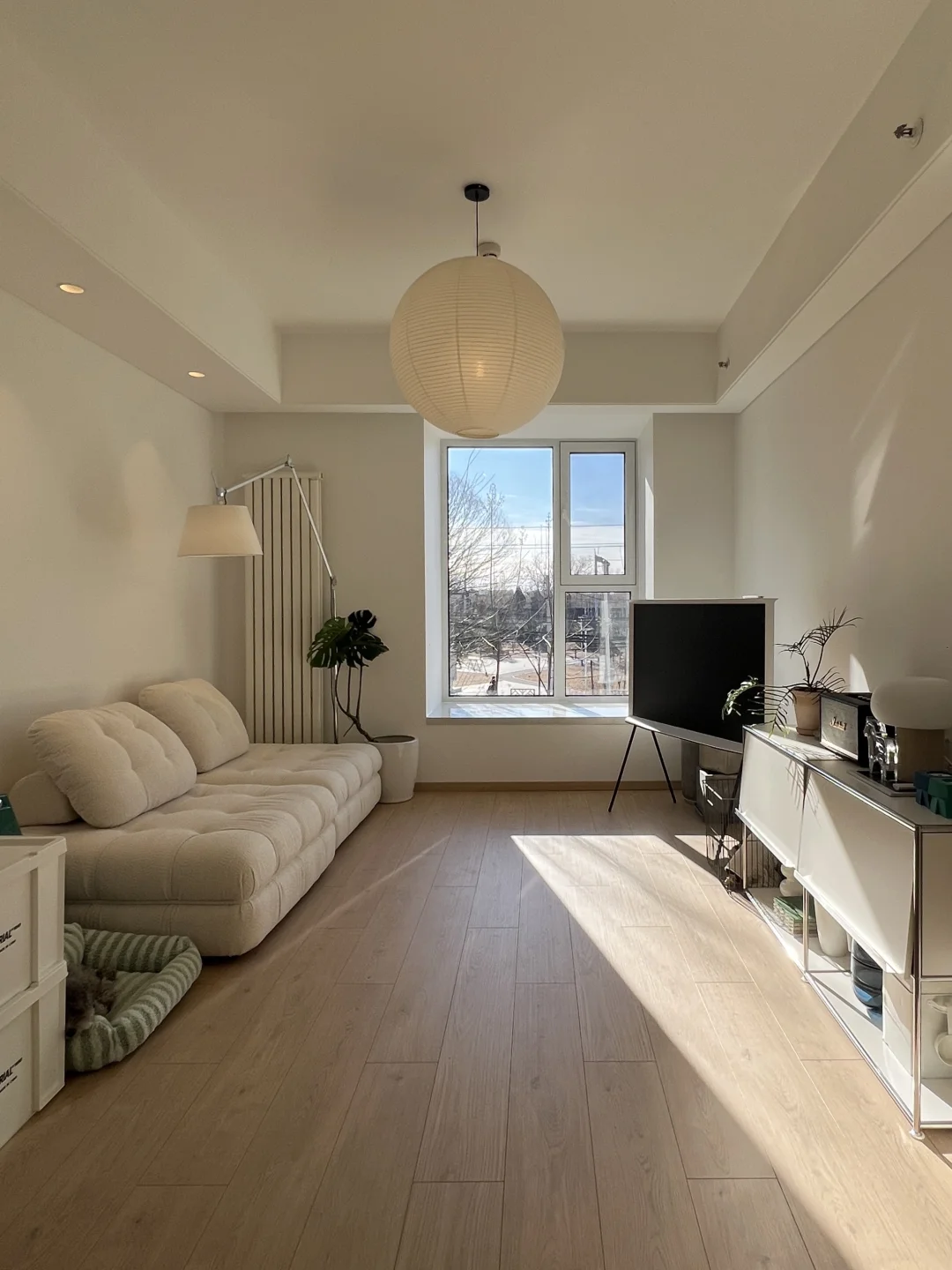 63平，一个人住真的太爽了