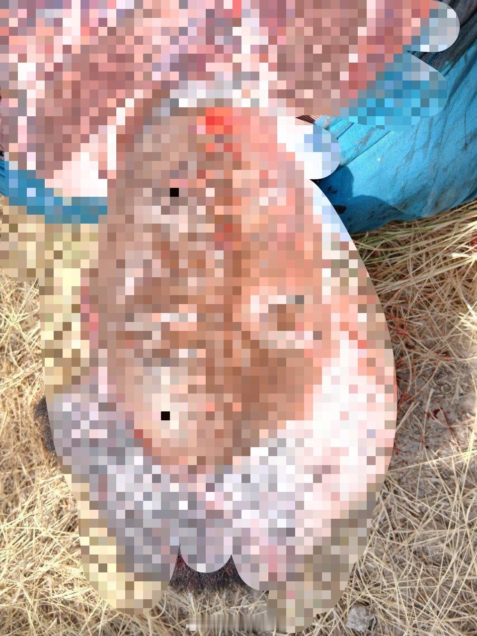 4月27日，俄罗斯“非洲军团”在马里中部塞瓦雷地区实施侦察任务时与一支50人规模