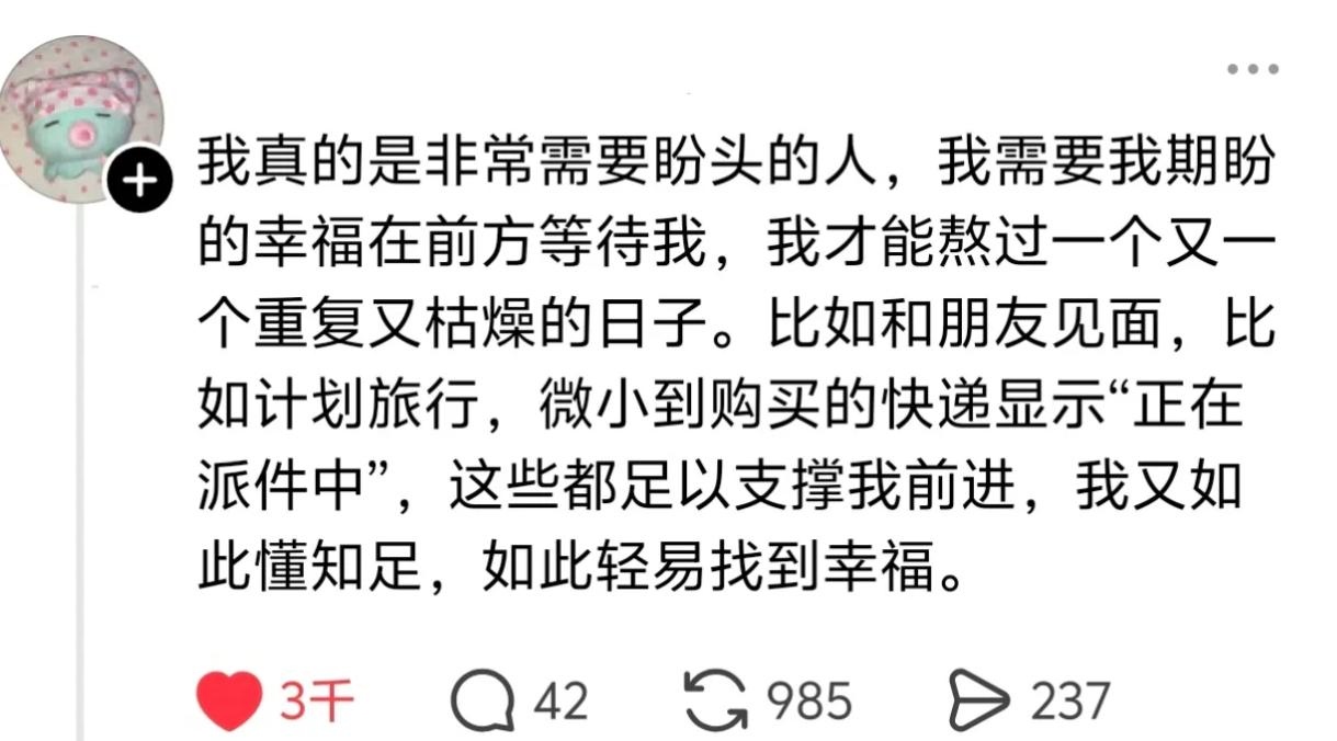生活总是需要一点盼头的