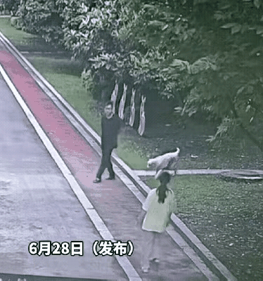 这位大爷为何不把狗拉开，吓着女孩了，你以为咬伤人才有责？今后凡是溜狗不栓绳，狗伤
