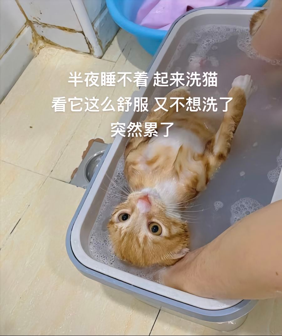 以为会反抗结果很享