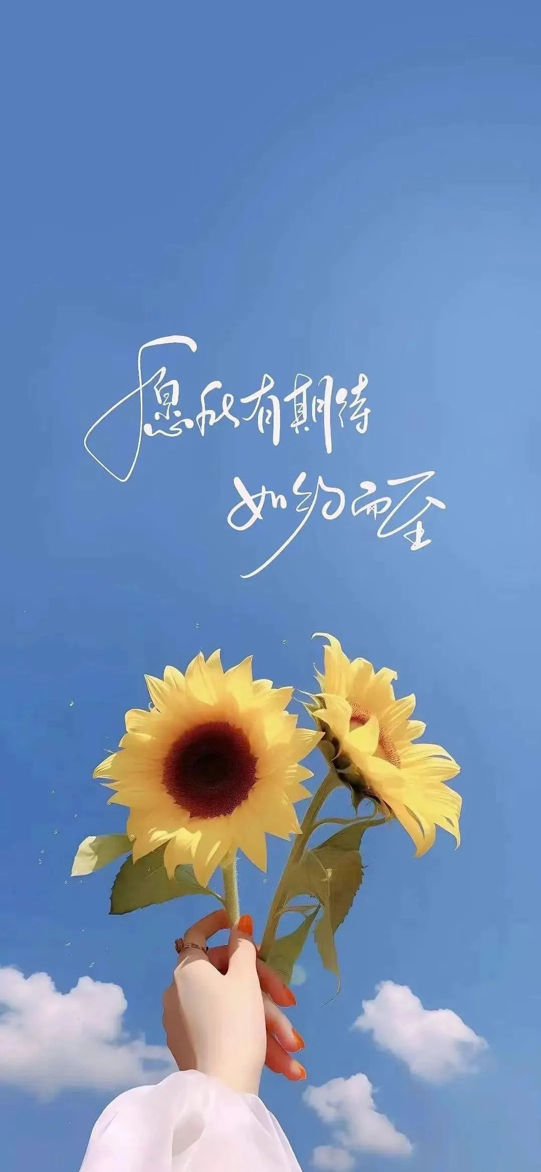 一看就喜欢的锁屏壁纸～”​​​