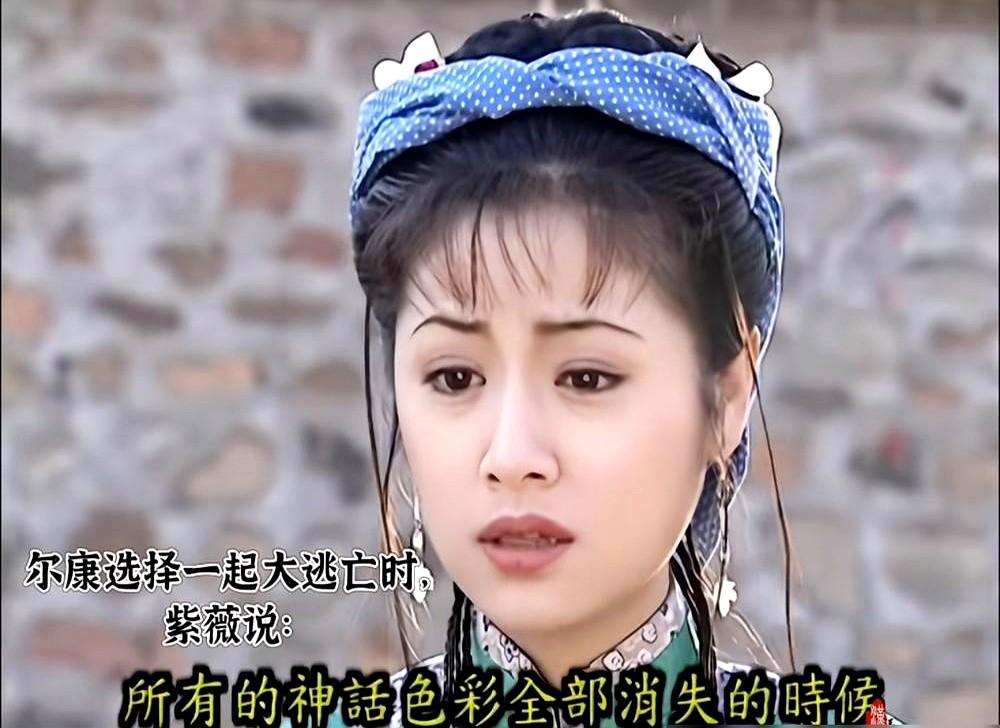 我以为琼瑶只会写恋爱脑，直到听见紫薇这句话。尔康要为爱浪迹天涯，紫薇却冷冷反
