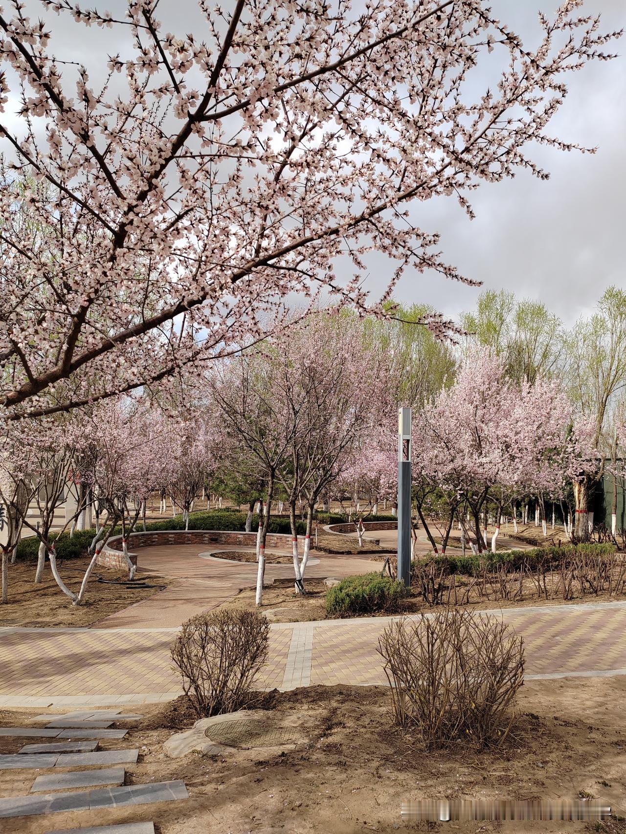 中考数学作辅助线万能口诀（直接背）中点中线倍延长，角分垂线截等长。等腰直