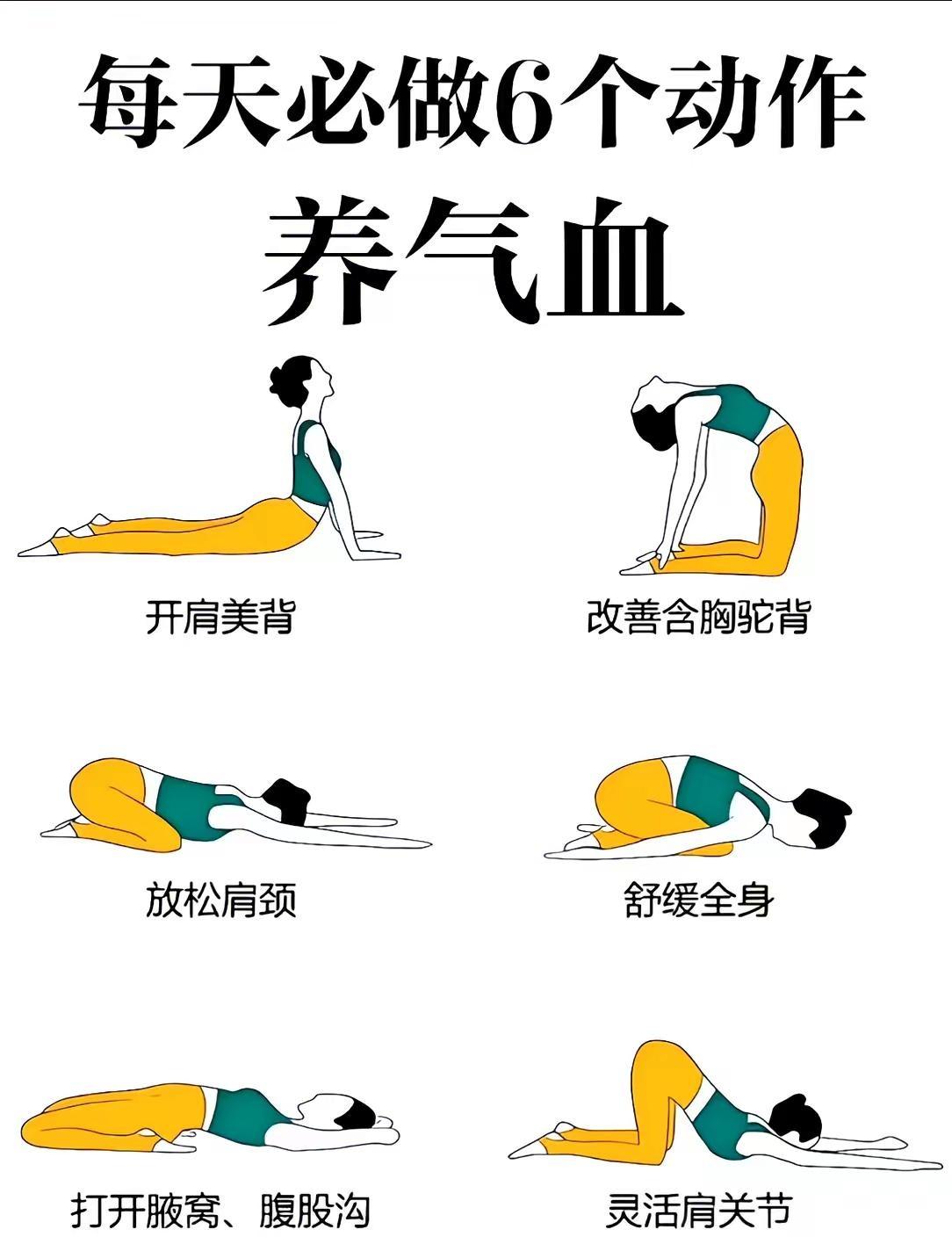 养气血必练6个简单瑜伽动作。💆想要疏通气血不用找复杂教程，每天跟着练这6个动作