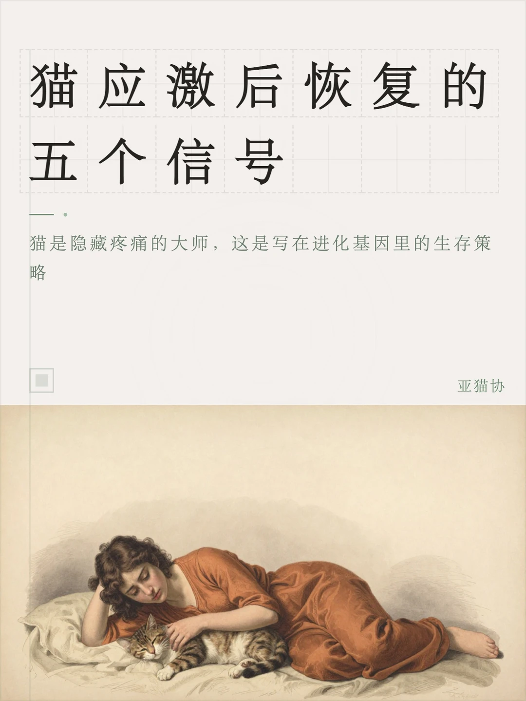 猫应激后恢复的五个信号