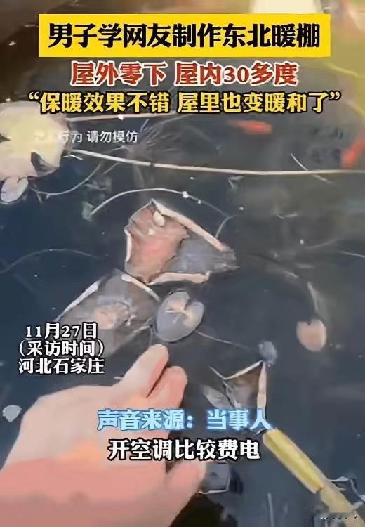 “真会过日子！”11月报道，河北一男子为了省钱，竟花1000块钱，在自家院子里搭