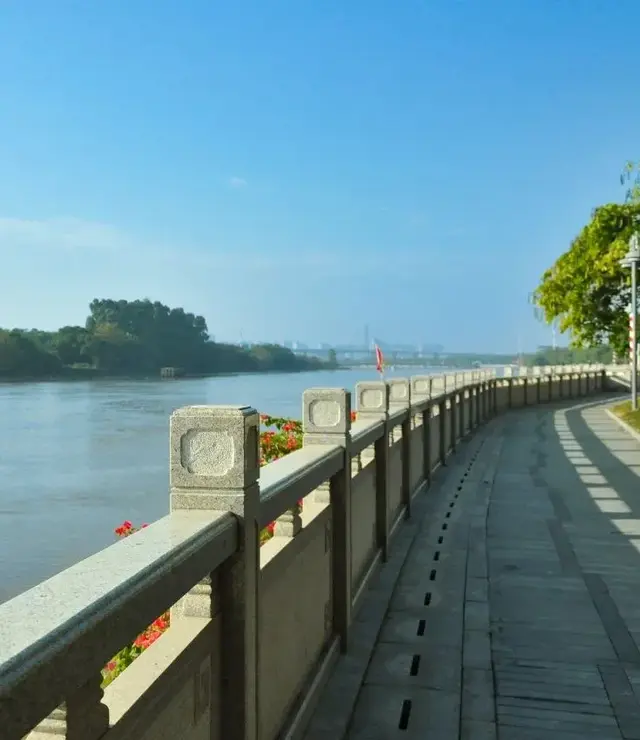 比起海鸥岛, 我更喜欢广州这个“人少景美”的小岛, 周末好去处!