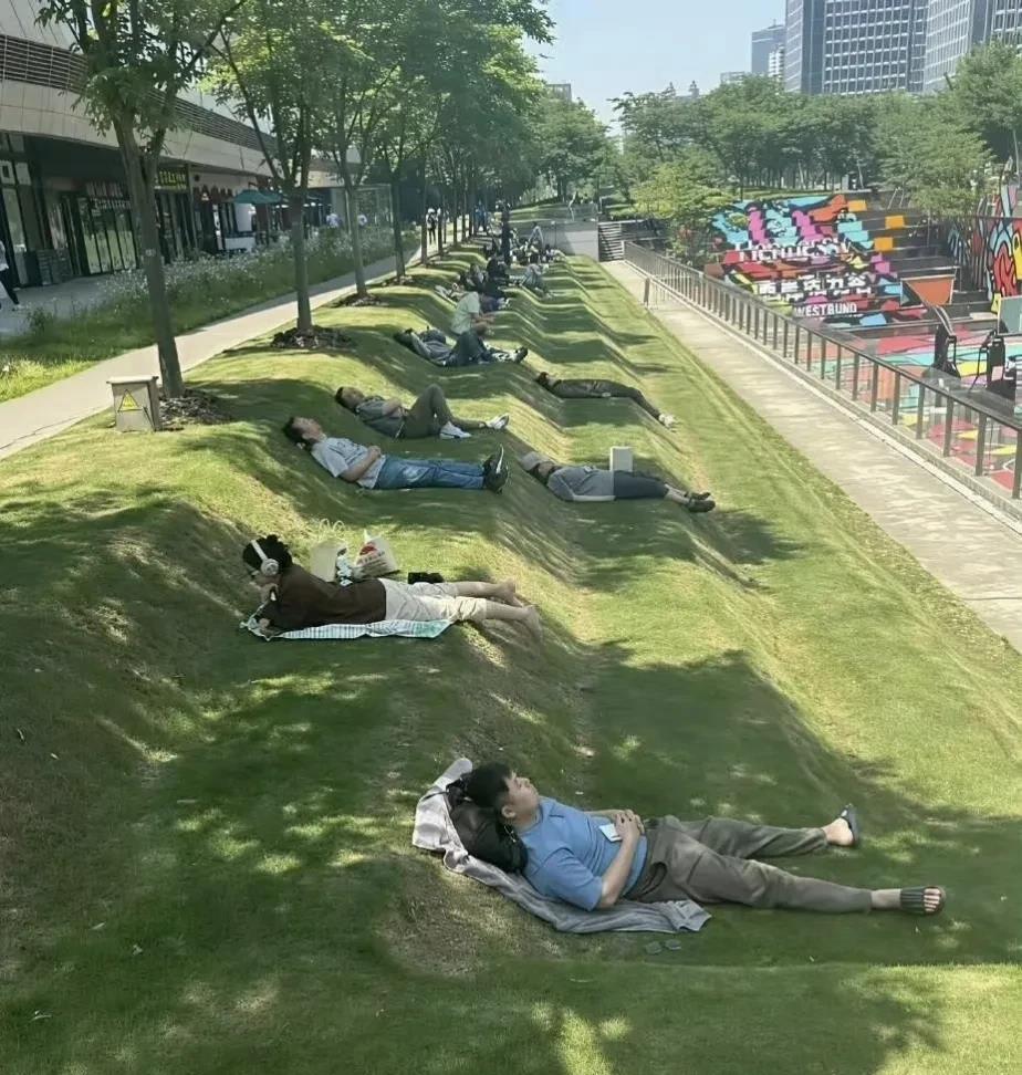 草坪的设计师也是人才，这样午睡真是打工仔的天堂