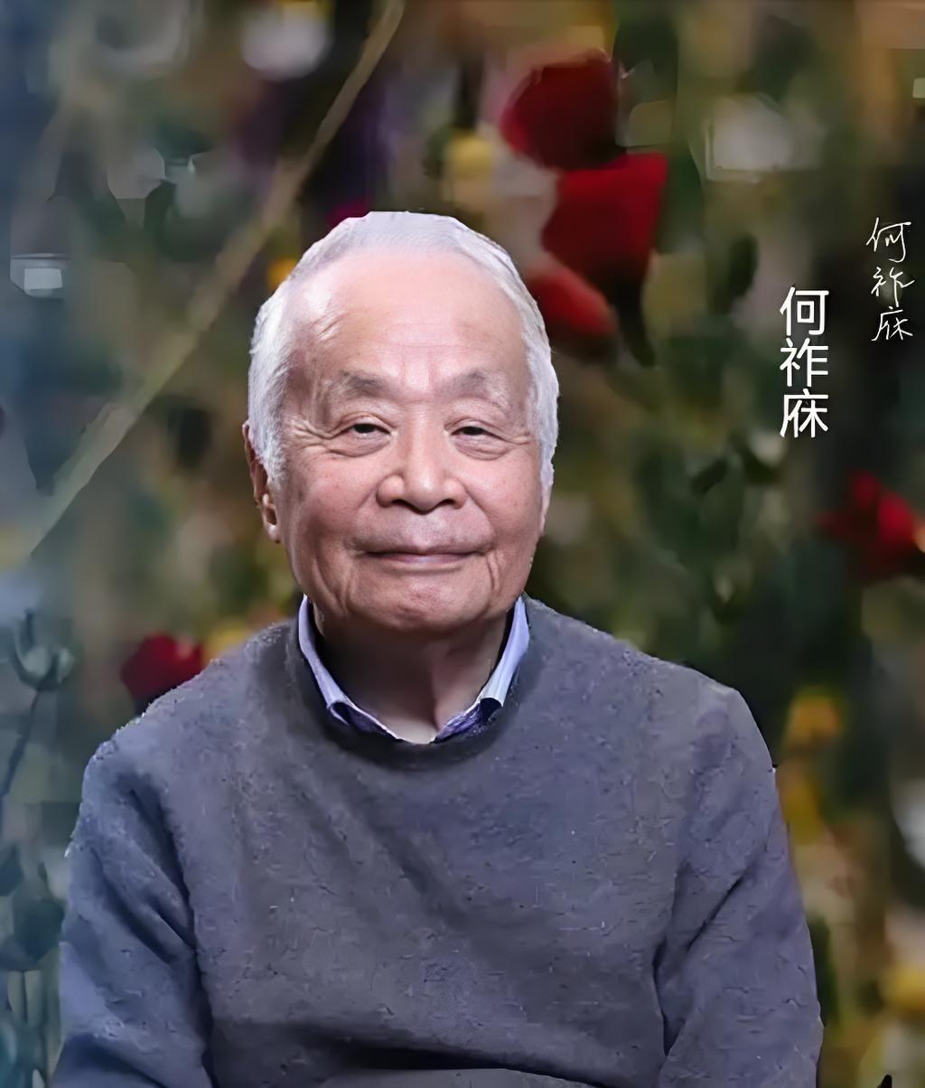 在官方已经定论贾浅浅学术不端后，院士居然还要为其抄袭行为发声称，论文抄袭比较常见