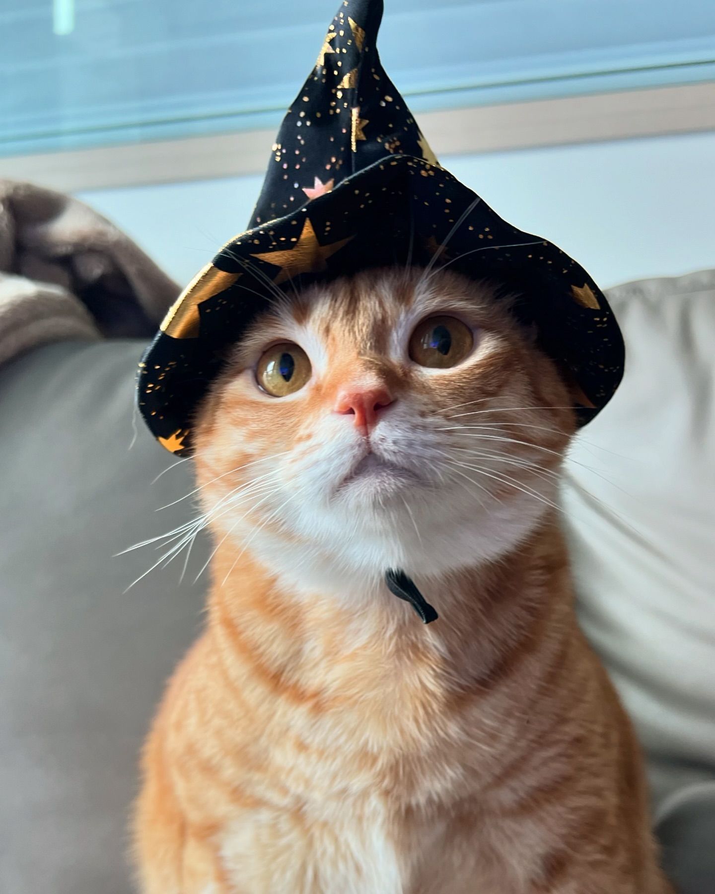 我是魔法师🎉评论区留下你的愿望我帮你实现👌