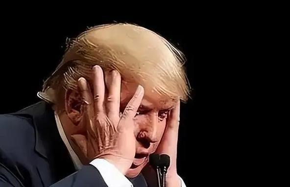 美国人后悔了，短短十几天的时间，美国对华出口生意基本被别国瓜分了，中国已经不买美