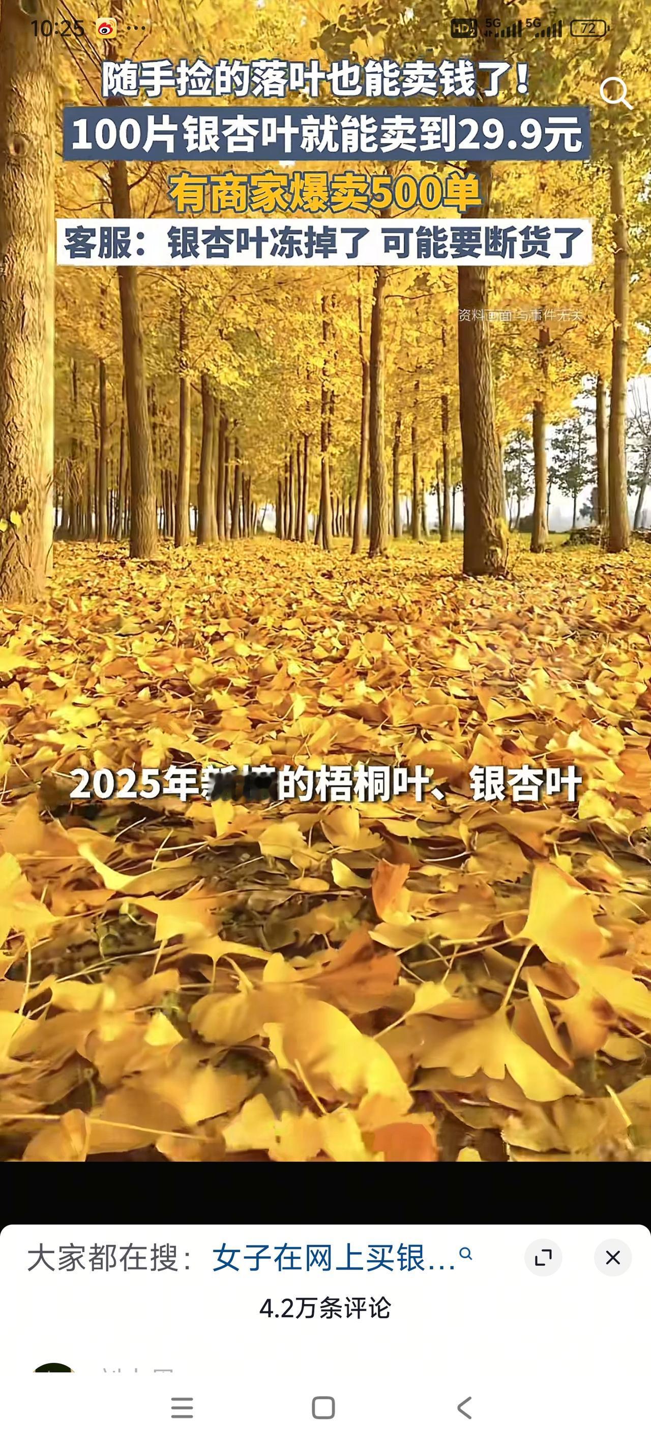 我认为人生陷入低潮时，别慌。先停下脚步，允许自己短暂休整，接纳当下的情绪，不必强