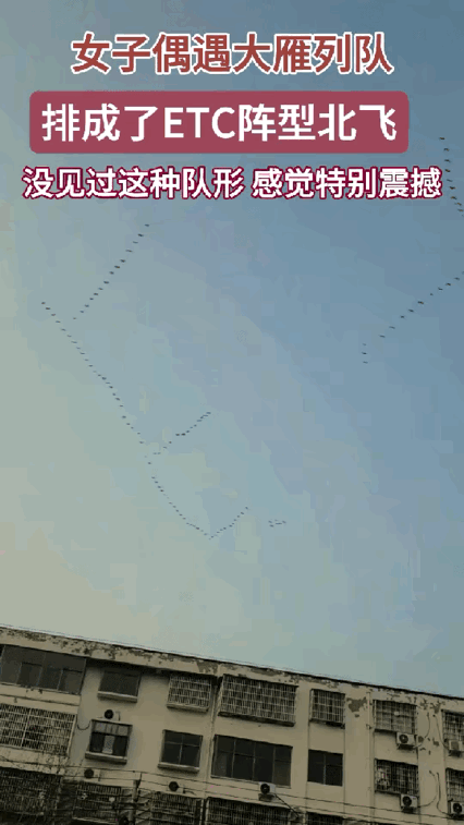 解释不清了，河南，一女子接孩子放学，发现有人指着天空，嘴里在说些什么，女子抬头一