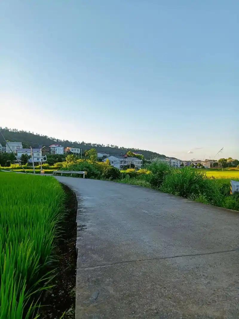 五年二十多万，换一个事业编，这笔账你算过没有？我们村老张家的闺女，前天刚在村