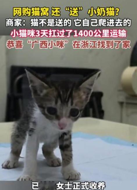 太有缘分了！浙江永康的徐女士买了一个猫窝，卖家从广西玉林发货。包裹跨过1400多