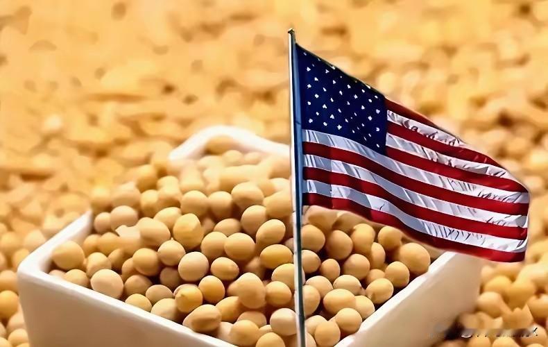 美国大豆为什么非要卖给中国？说白了，美国种出来的大豆，一半以上都是运到中国来