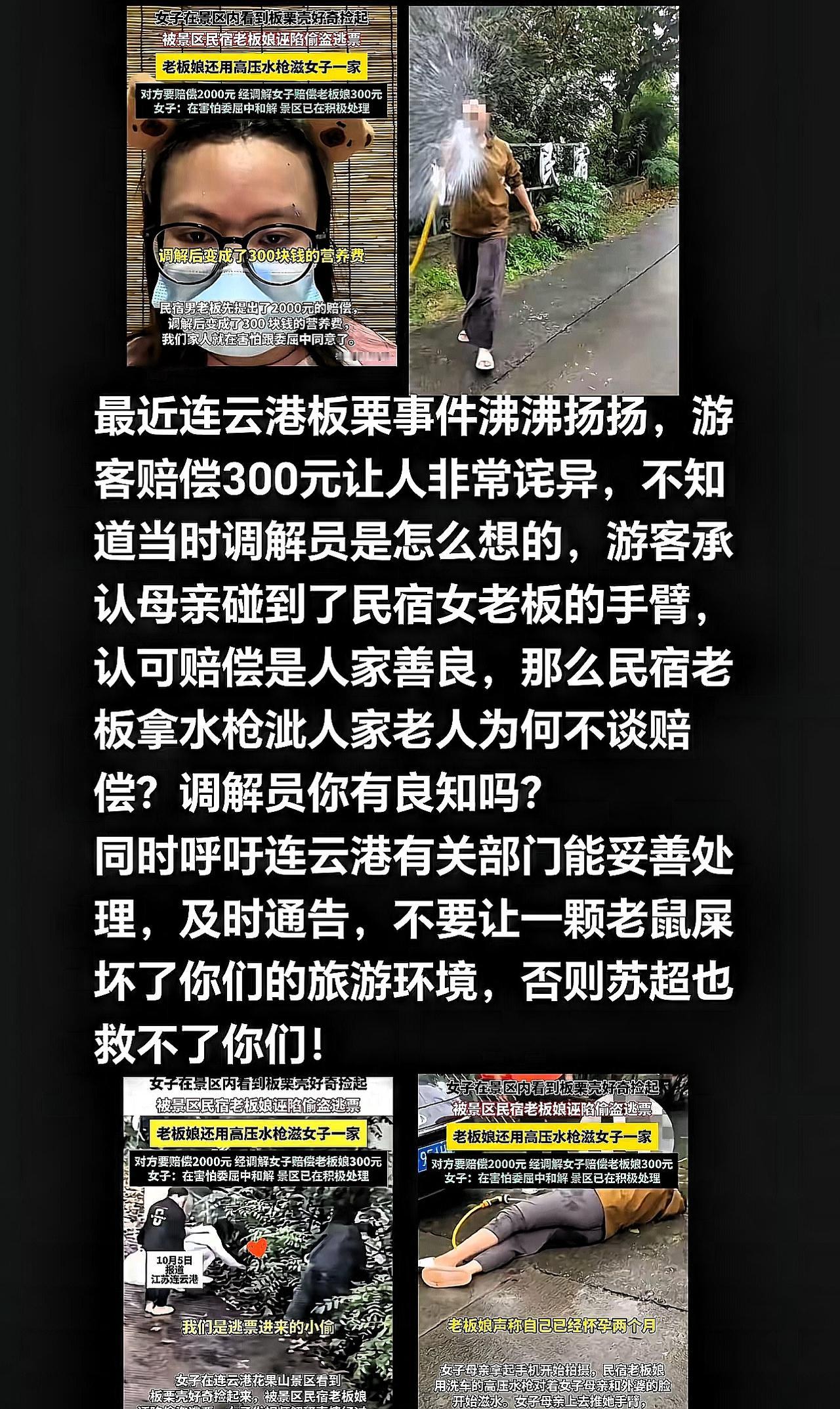一颗板栗赔300？连云港这波操作，比“水枪滋人”还膈应连云港花果山的“板栗事