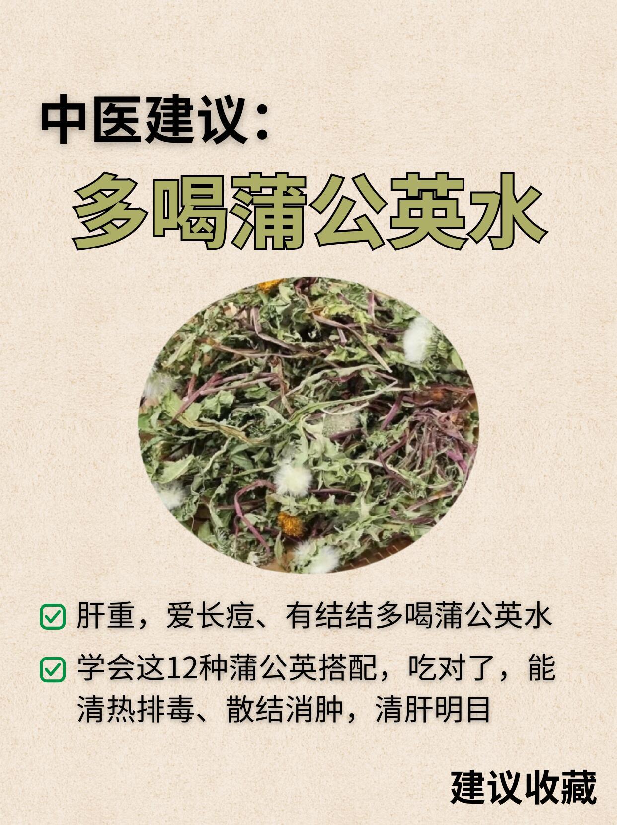 别急着拔！蒲公英全身都是营养蒲公英为菊科植物蒲公英、碱地蒲公英或同属数种植物的干