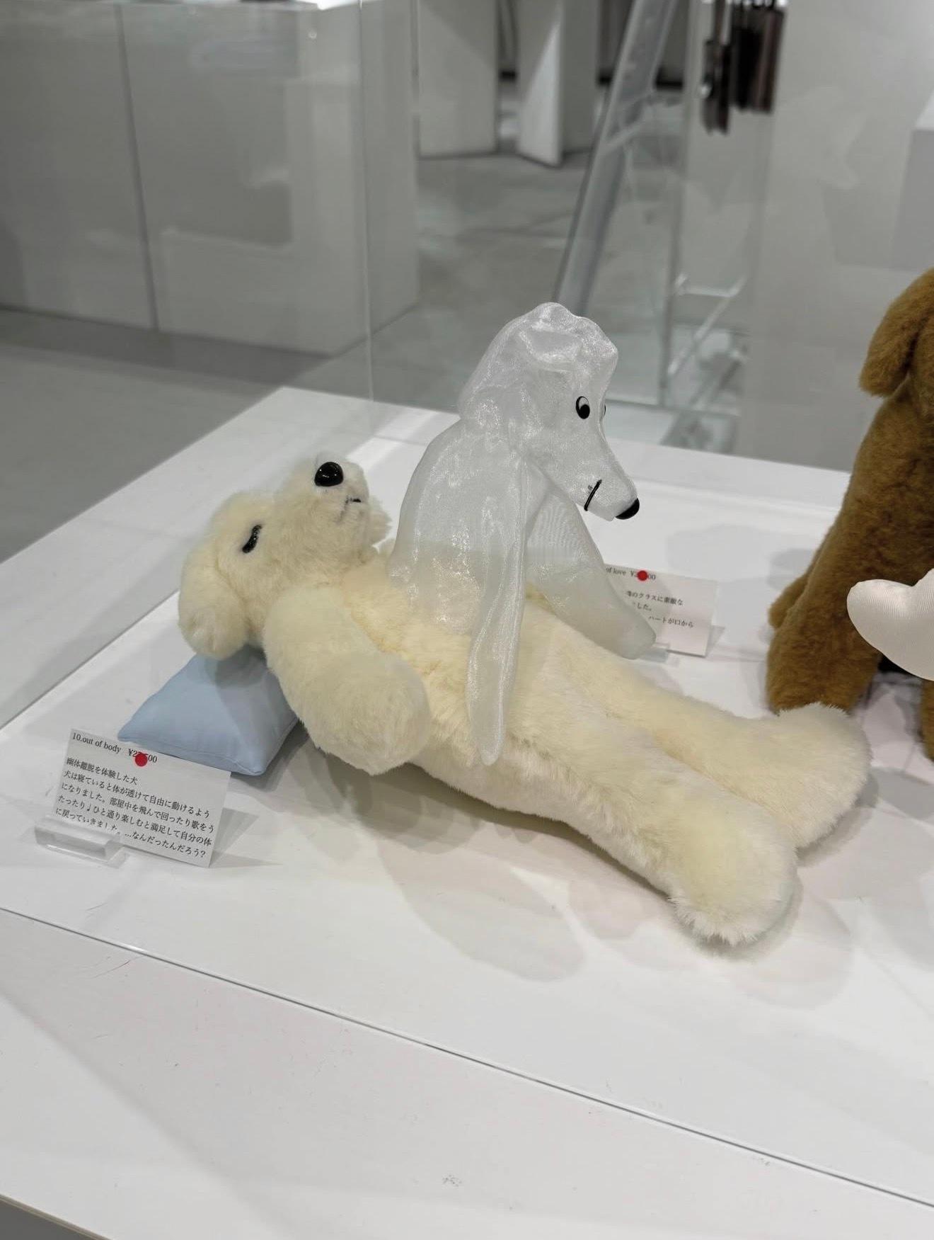 灵魂出窍狗娃娃meme