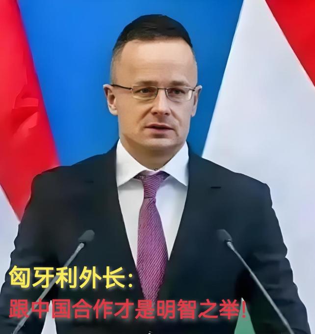 现在全欧洲最后悔的就是德国了吧！ 不是因为中国，也不是因为美国 而是因为匈牙