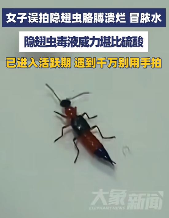悲剧还是发生了！5月29日浙江义乌就发生了这样一起可怕的事故：一名女子看到窗边有