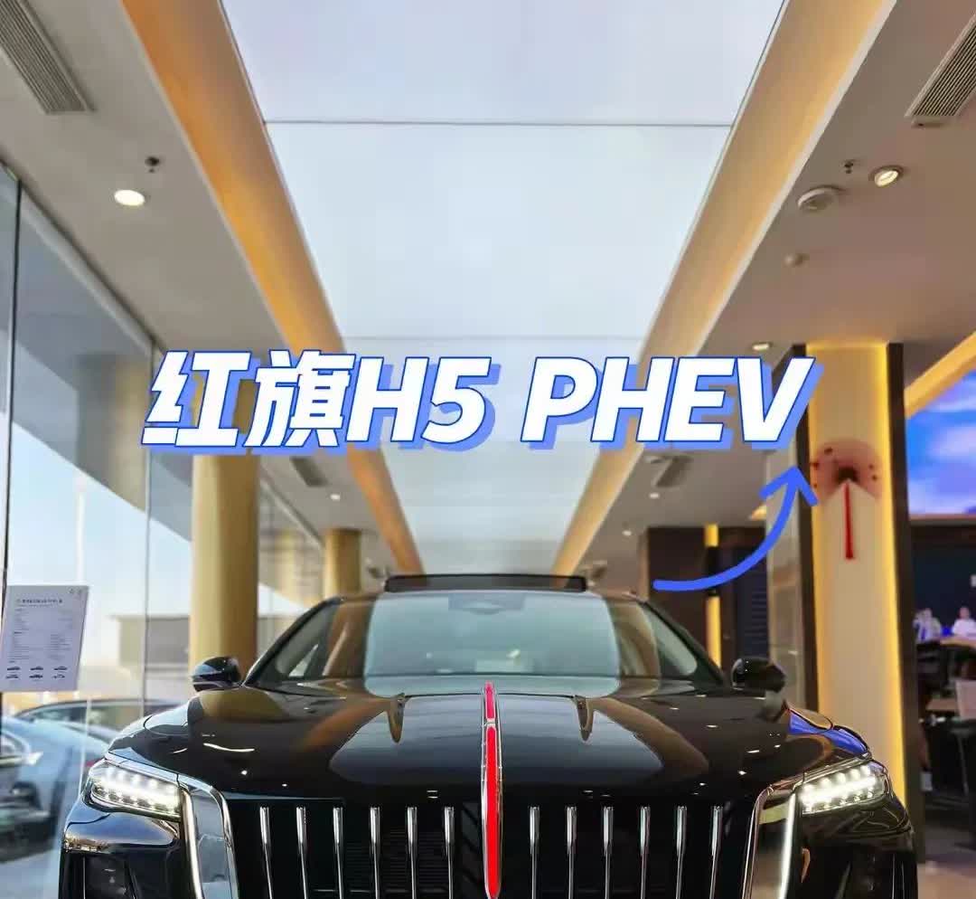 未来十年新能源车企生存战：比亚迪与红旗汽车领跑，理想与吉利紧随其后