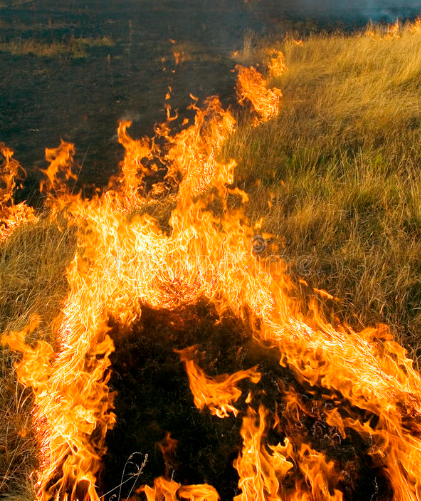 丙丁火人，癸巳月是官杀+比劫的配置，忙碌、竞争压力、消耗是本月的基调。身旺者需注