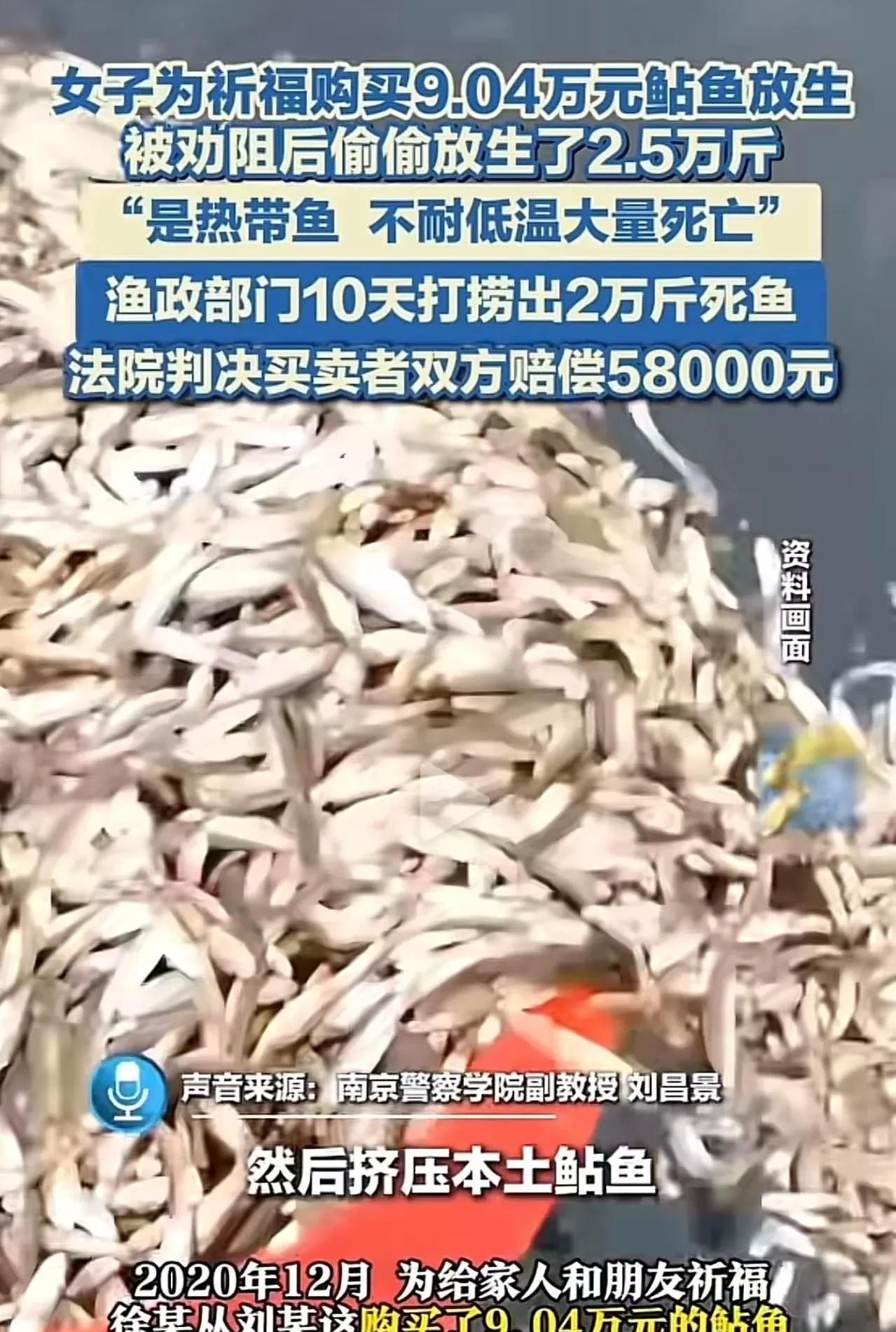 太糊涂了！江苏南京，女子为给家人祈福，购买9.04万元鲇鱼偷偷放生，渔政部门10