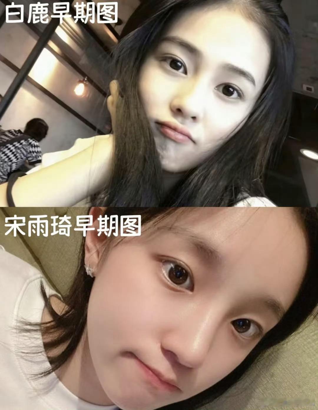 白鹿和宋雨琦，真的好像不愧是姐妹花！