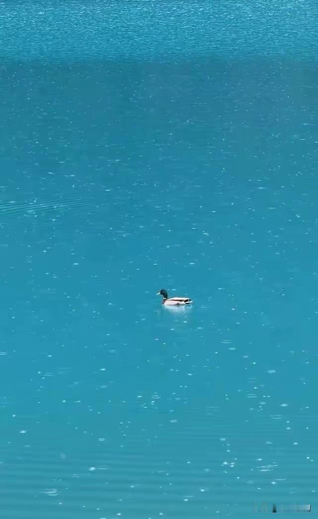 经济学家曾说:“一旦发生战争，银行的存款大概就没有了。历史表明，一旦发生战争，金