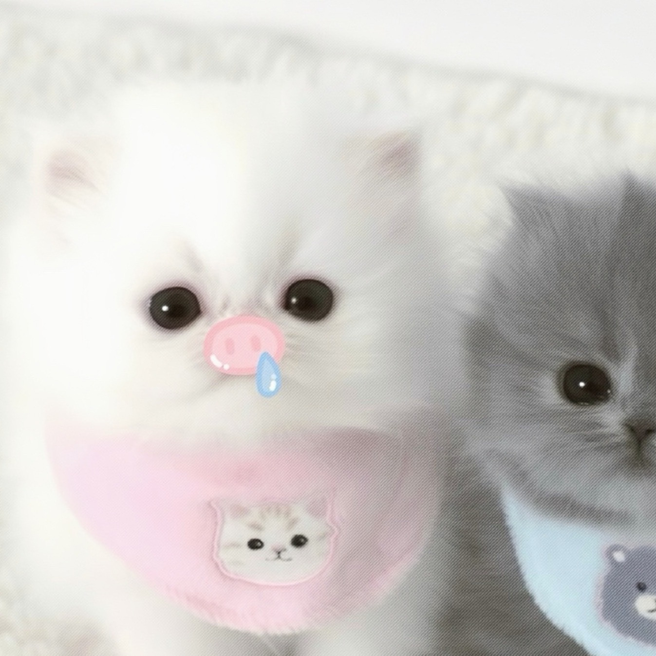 自用可爱小猫咪情侣头像