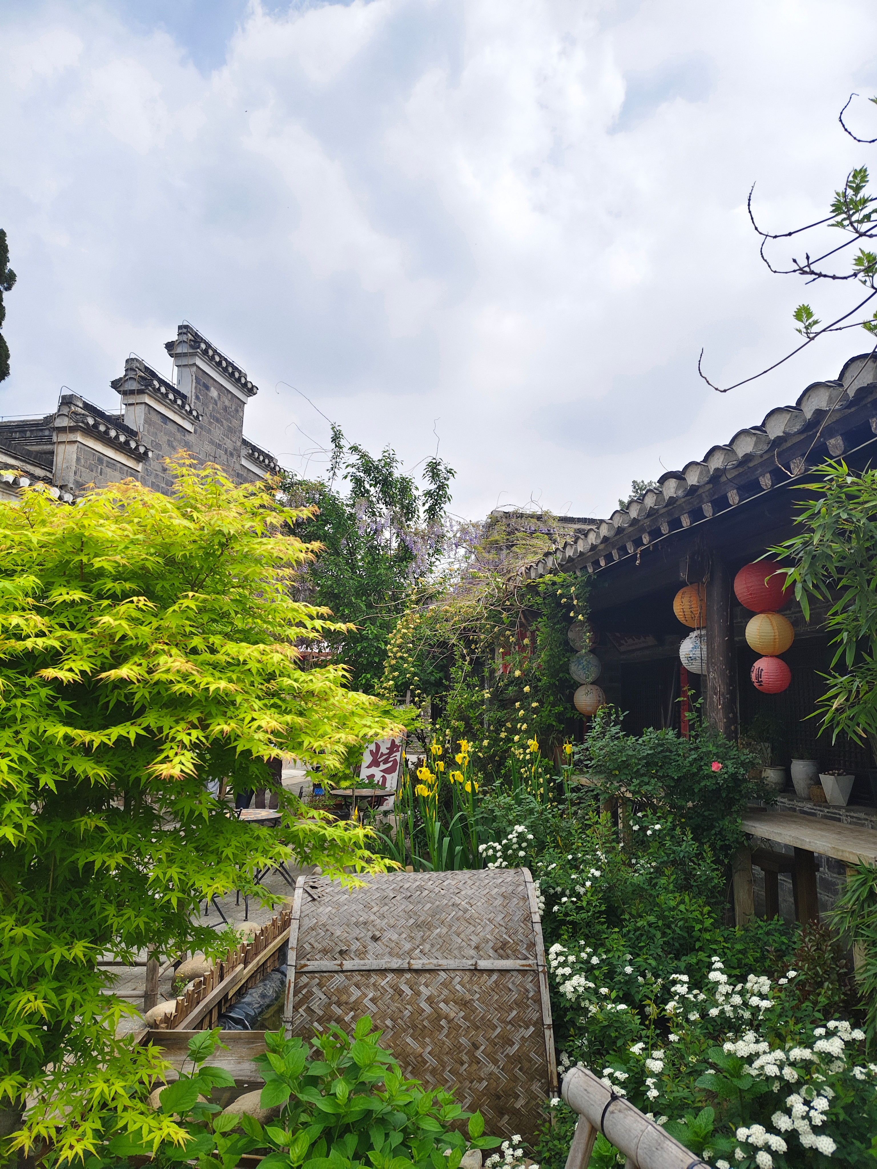 学会聆听树语者，便不会再渴望变成一棵树，不再向外求：这就是故乡，这就是幸福。——