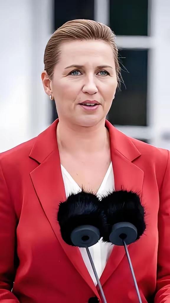 丹麦传来新消息，央视新闻3月25日报道，丹麦首相弗雷泽里克森正式向丹麦国王腓特