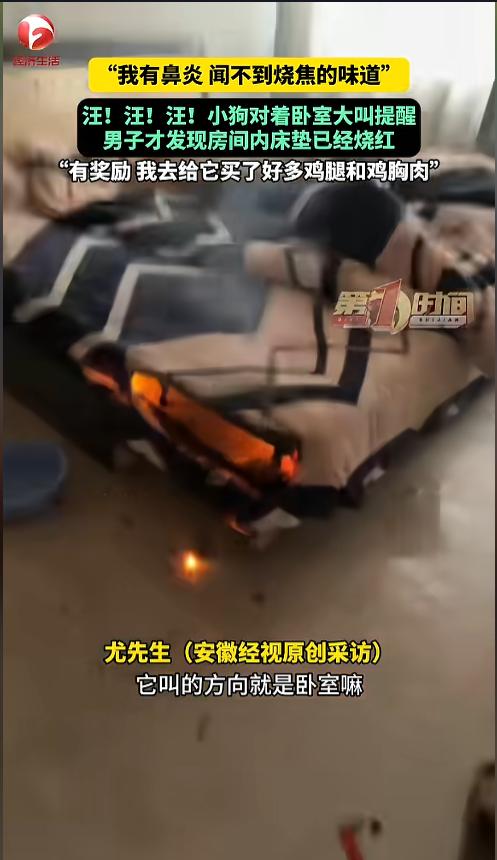 “汪汪队立大功！”近日，安徽宿州，一男子在家里突然听见小狗一阵狂叫，男子循声看去